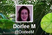 DorleeM